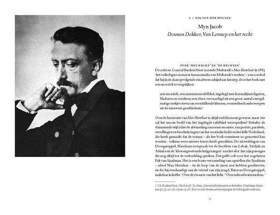 'Ik heb u den Havelaar niet verkocht' - Afbeelding 2