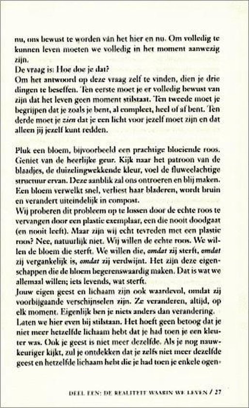 Boeddhisme in alle eenvoud - Afbeelding 10