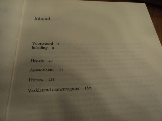 Na de val van Troje - Afbeelding 2