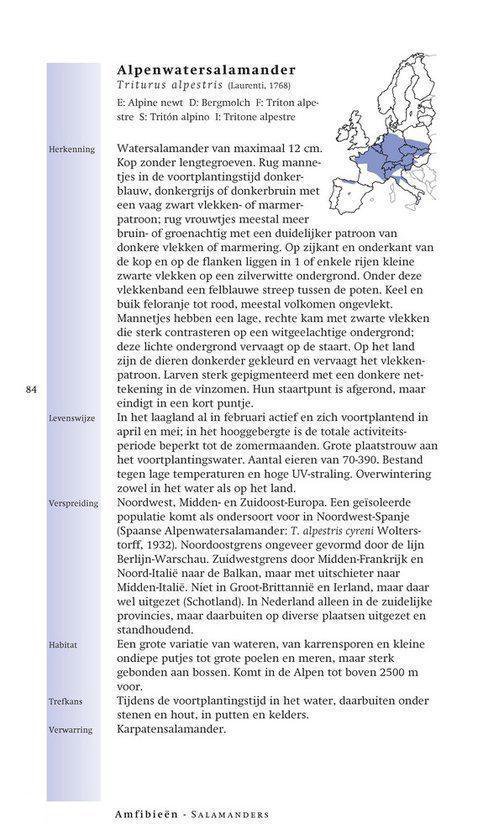 Veldgids Amfibieen en reptielen - Afbeelding 10