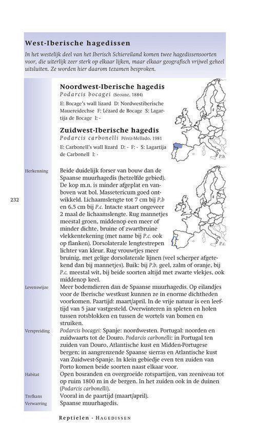 Veldgids Amfibieen en reptielen - Afbeelding 11