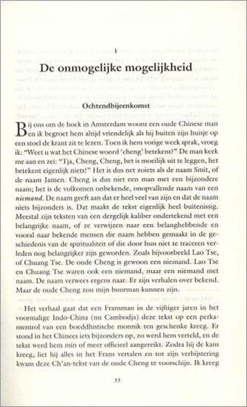 Het Onmiddellijke Zien - Afbeelding 2