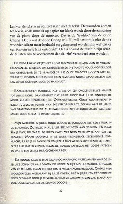 Het Onmiddellijke Zien - Afbeelding 6