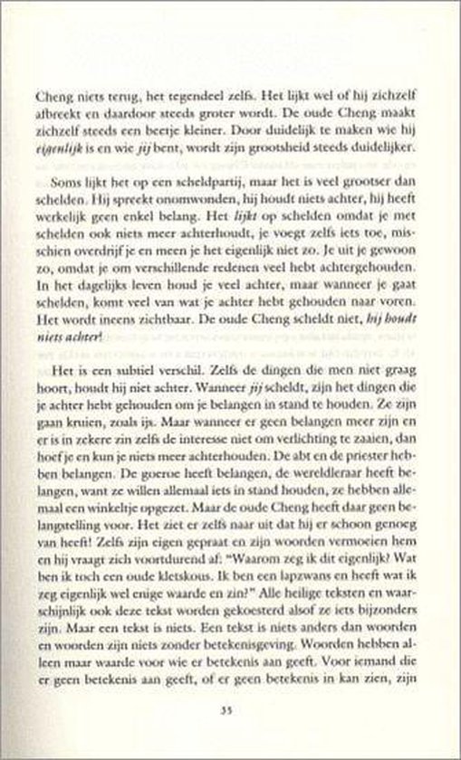 Het Onmiddellijke Zien - Afbeelding 7