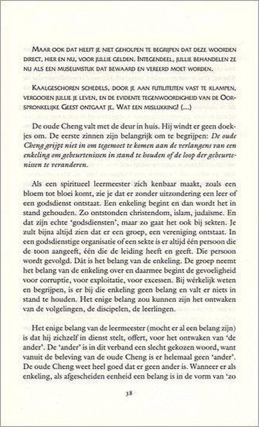 Het Onmiddellijke Zien - Afbeelding 9