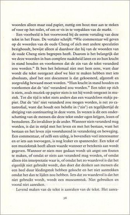 Het Onmiddellijke Zien - Afbeelding 10