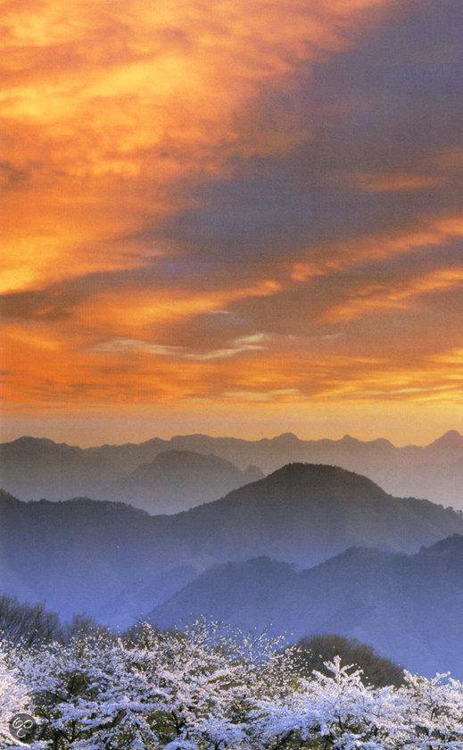 De Weg Van De Samoerai - Afbeelding 2