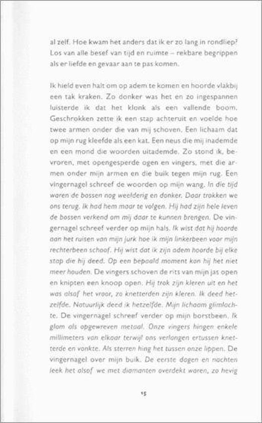 Mondschilderingen - Afbeelding 4