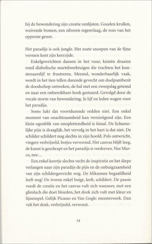 Ajax-Zielen - Afbeelding 3