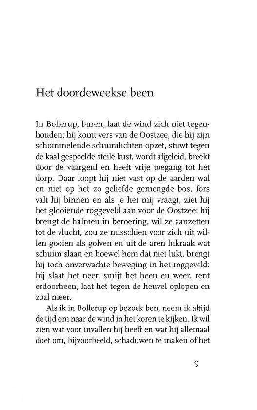 De vloed komt op tijd - Afbeelding 12