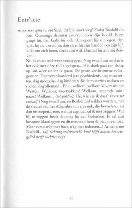 De Ongelukkige - Afbeelding 9