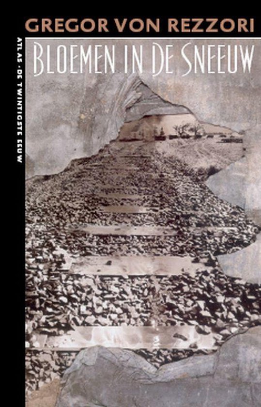 Bloemen In De Sneeuw