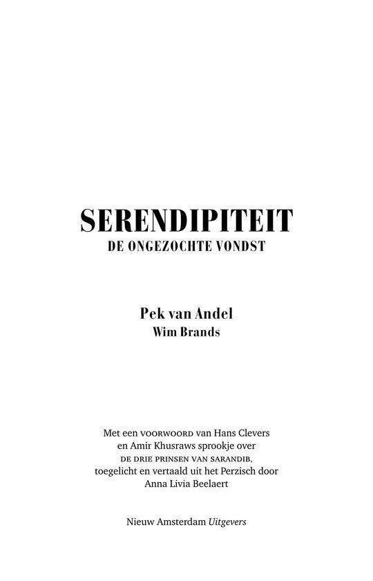 Serendipiteit - Afbeelding 4