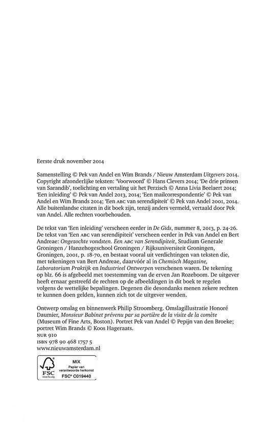 Serendipiteit - Afbeelding 5