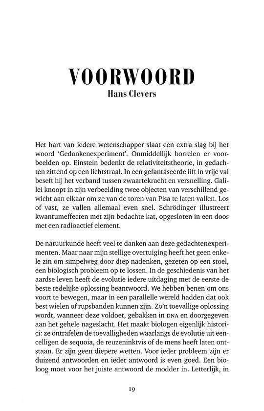 Serendipiteit - Afbeelding 8