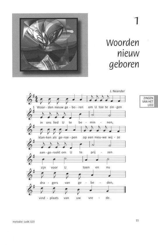 Geboren om te zingen - Afbeelding 3