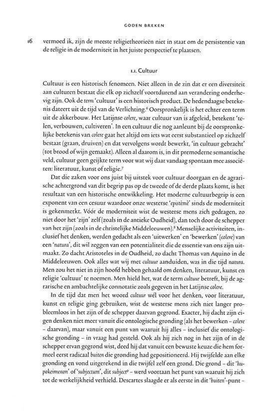 Goden breken - Afbeelding 3