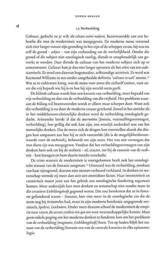 Goden breken - Afbeelding 6