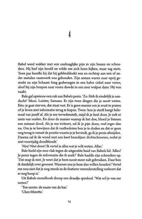 Het Nostradamus Complot - Afbeelding 9