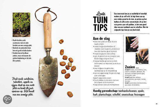 Het groentenparadijs - Afbeelding 5