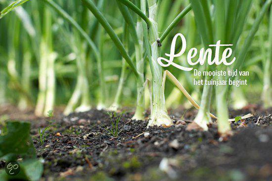 Het groentenparadijs - Afbeelding 8