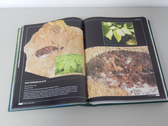 Atlas Of Creation - Volume 2 - Afbeelding 2