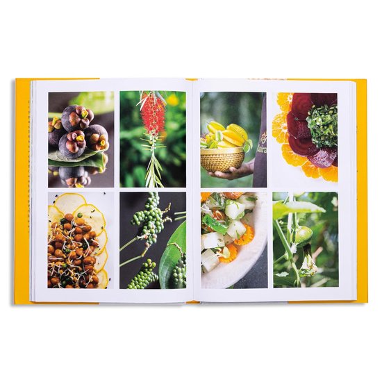 The Ayurvedic Wellness Cookbook - Afbeelding 3