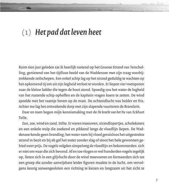 Het Kompas + Cd - Afbeelding 4