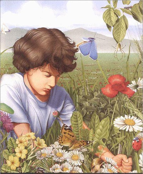 Mijn Eerste Boek Over Kleine Beestjes - Afbeelding 2