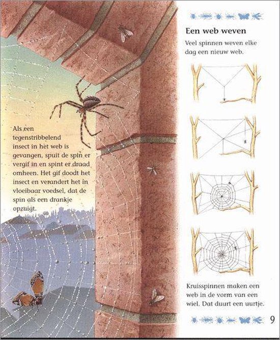 Mijn Eerste Boek Over Kleine Beestjes - Afbeelding 5