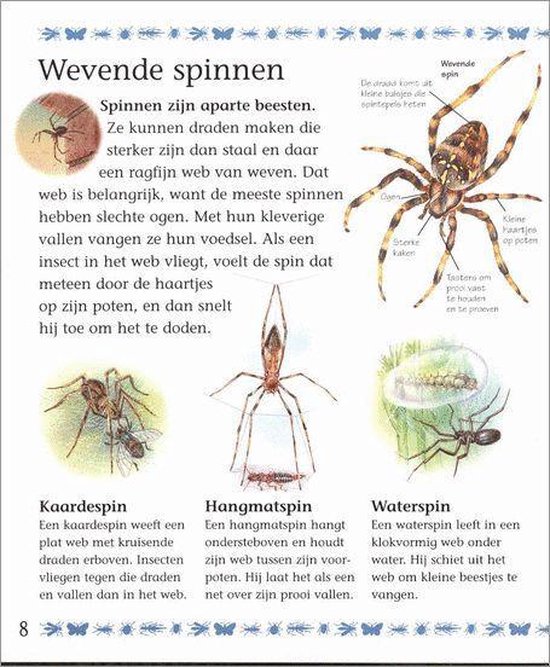 Mijn Eerste Boek Over Kleine Beestjes - Afbeelding 6