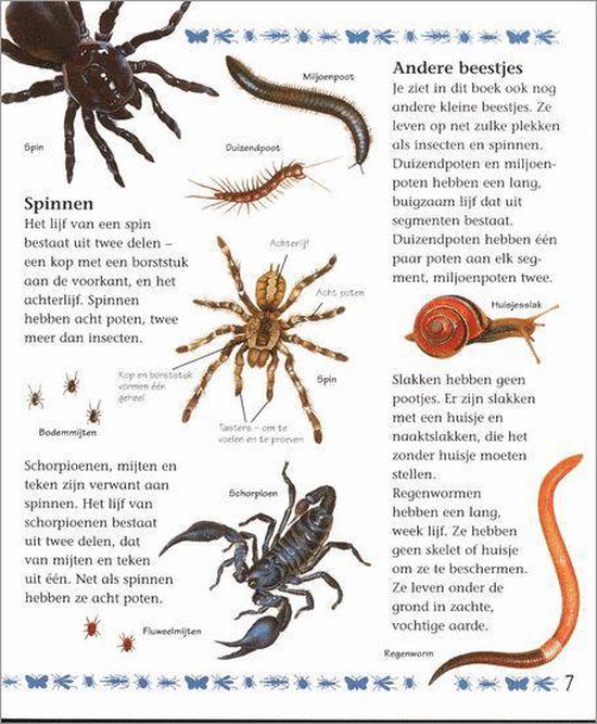Mijn Eerste Boek Over Kleine Beestjes - Afbeelding 7