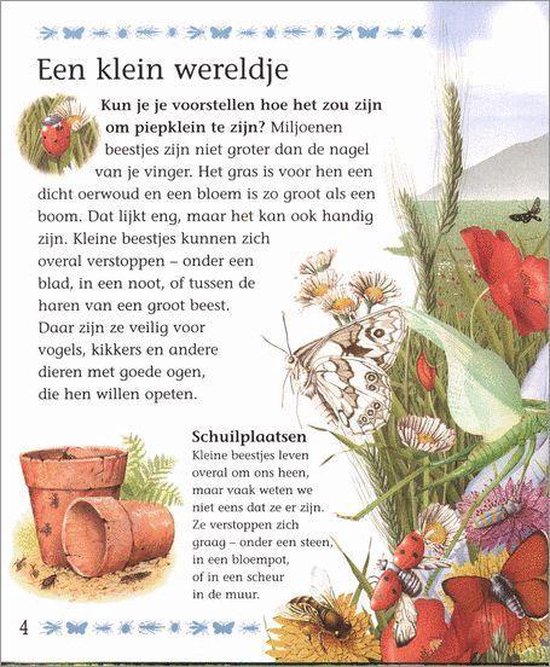 Mijn Eerste Boek Over Kleine Beestjes - Afbeelding 9