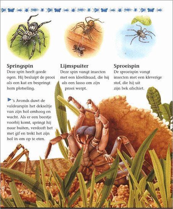 Mijn Eerste Boek Over Kleine Beestjes - Afbeelding 10