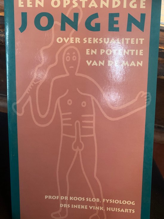 Een opstandige jongen - Afbeelding 2