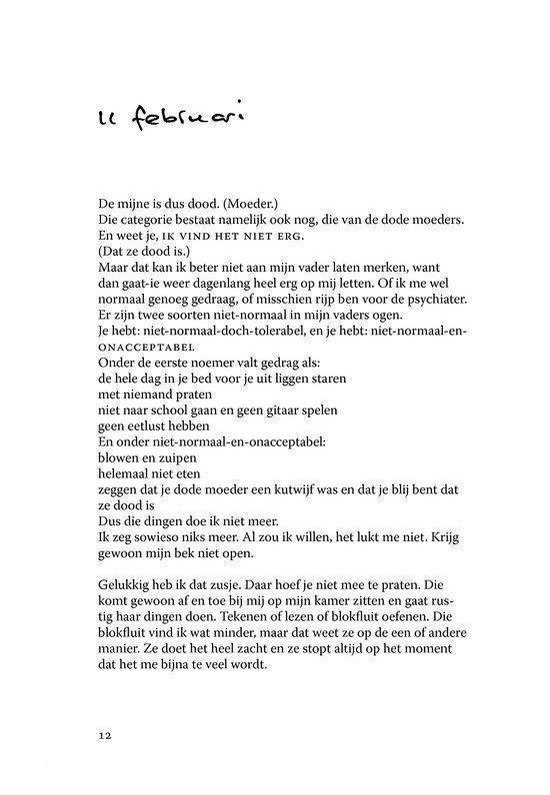 Dit is geen dagboek - Afbeelding 7