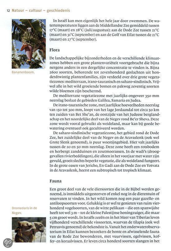 ANWB kunstreisgids - Israël en de Palestijnse gebieden - Afbeelding 5