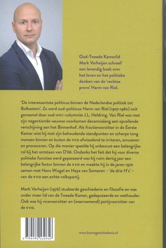 Harm van Riel - Afbeelding 3