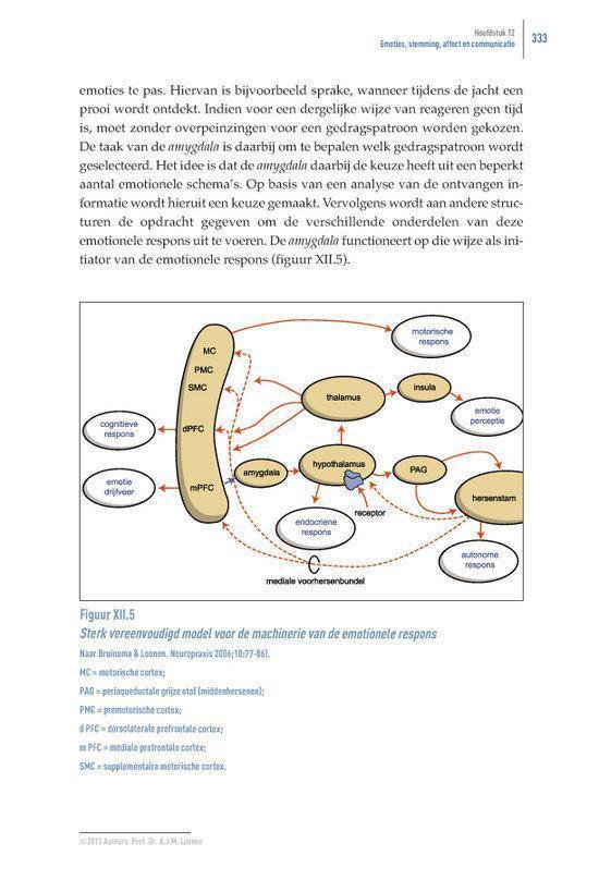 Het beweeglijke brein - Afbeelding 12