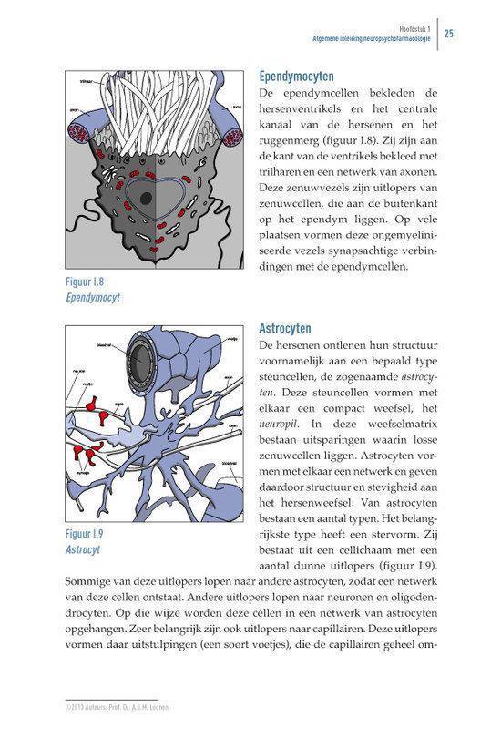 Het beweeglijke brein - Afbeelding 4