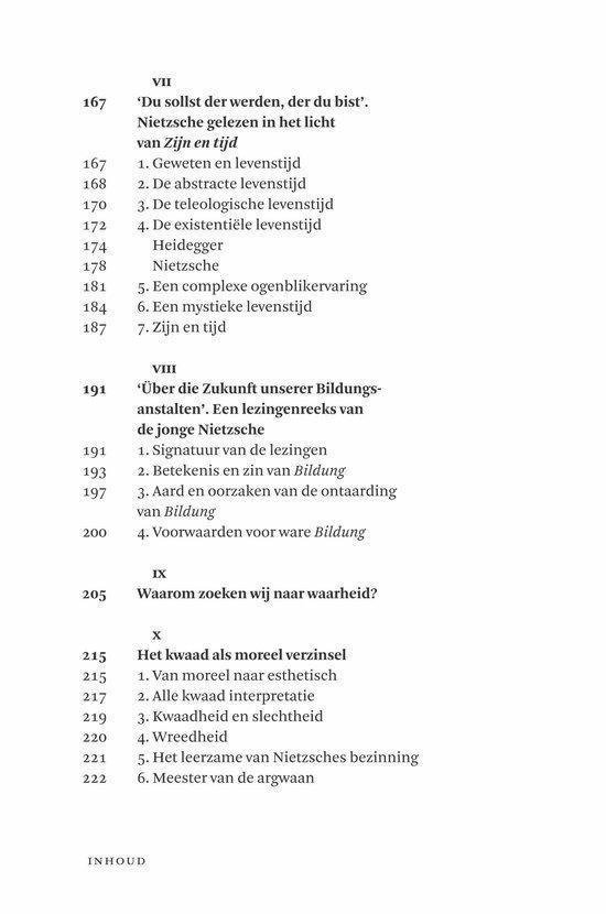 In gesprek met Nietzsche - Afbeelding 11