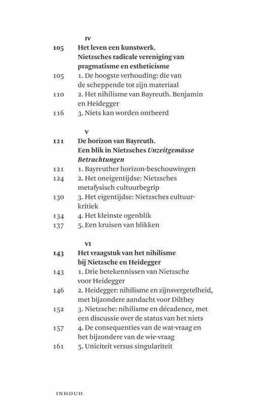 In gesprek met Nietzsche - Afbeelding 13