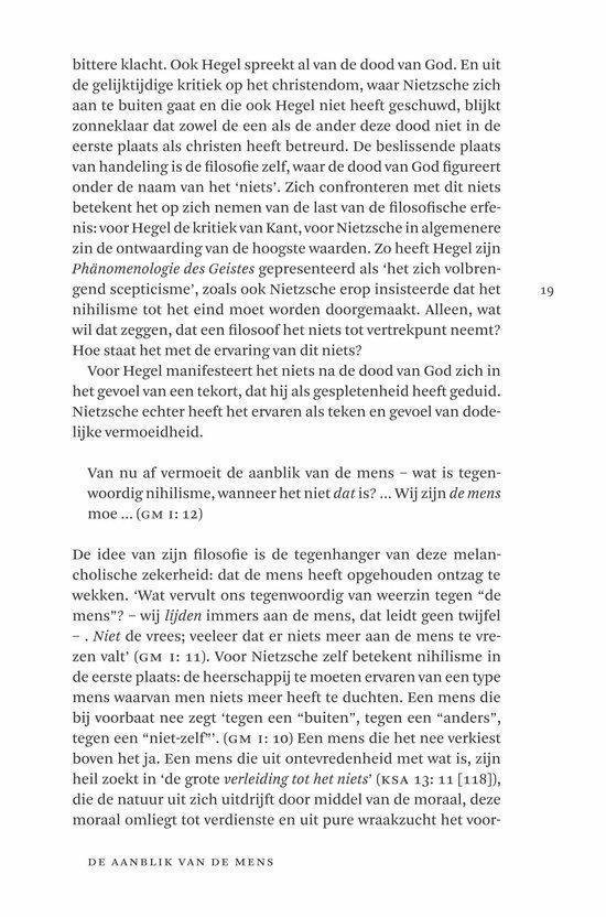 In gesprek met Nietzsche - Afbeelding 8