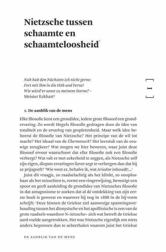 In gesprek met Nietzsche - Afbeelding 9