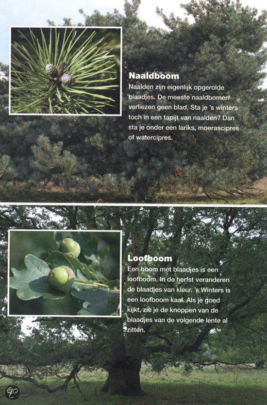 Natuur is overal - Afbeelding 3