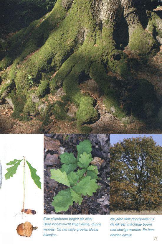 Natuur is overal - Afbeelding 5