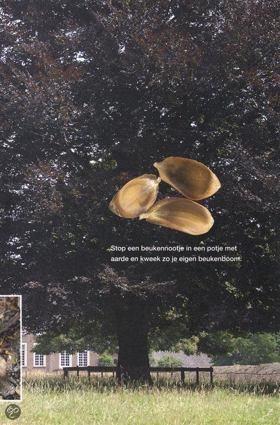 Natuur is overal - Afbeelding 8