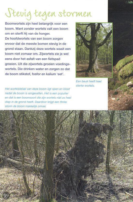 Natuur is overal - Afbeelding 9