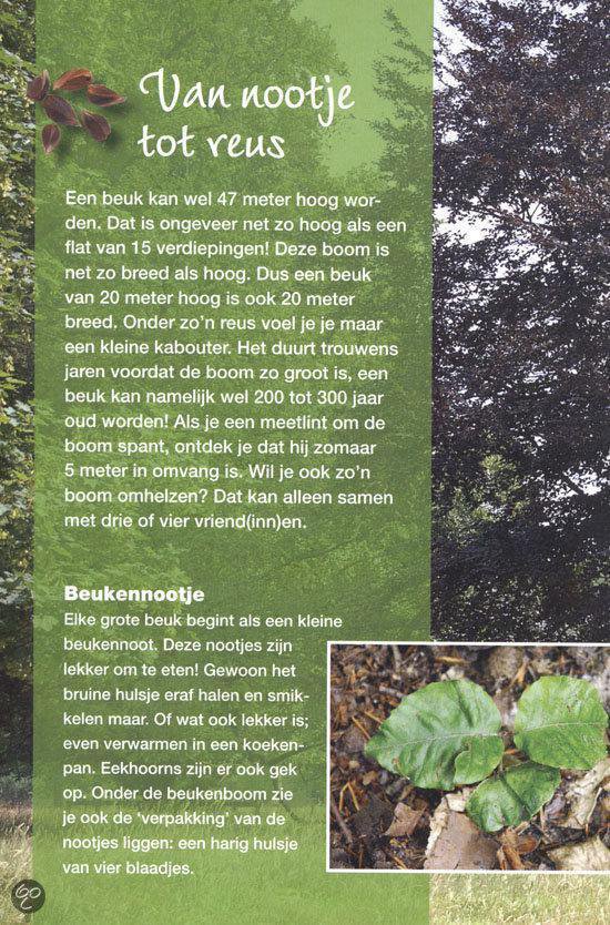 Natuur is overal - Afbeelding 10