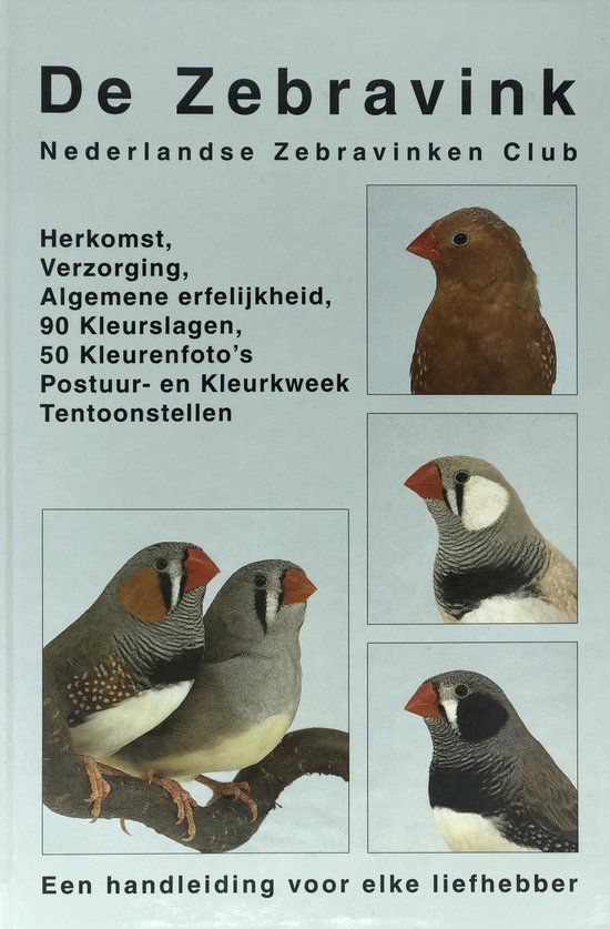 Zebravink handleiding voor elke liefhebber